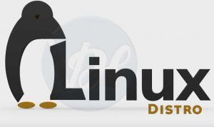 Best-Linux-Distro-300x178 3