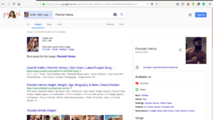Search Image 1 result