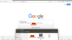 Search Image 2