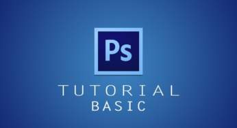 Basics of Photoshop Image Editing Software