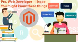 Pro. Web Developer - I hope You might know these things 2