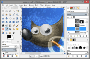 gimp-5a317cdce258f80036aaf119 3