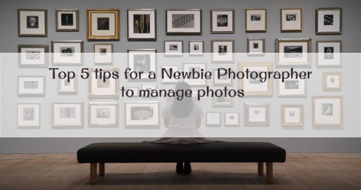 Top 5 tips for a Newbie Photographer to Manage photos