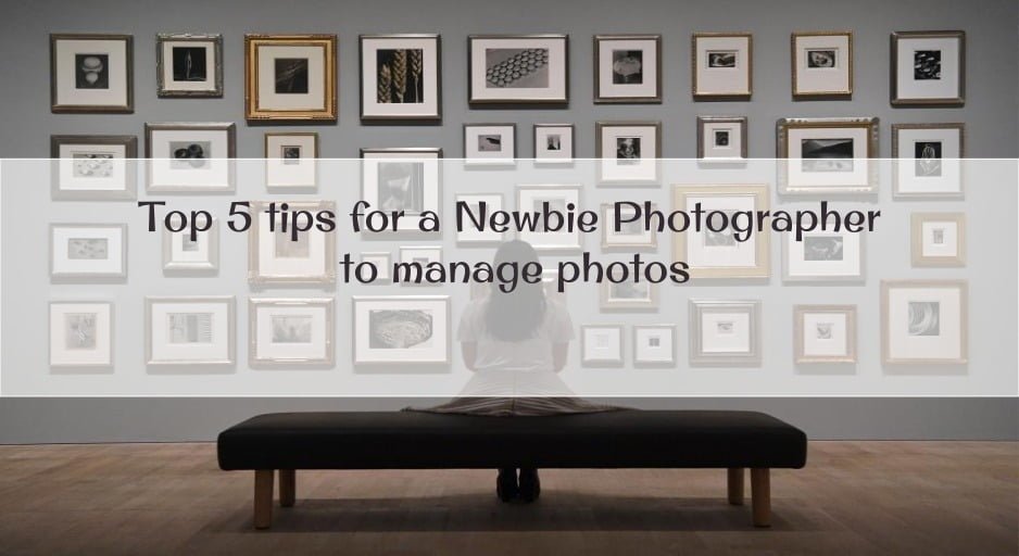 tips for newbie photographer to store photos