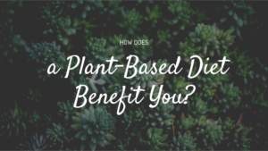 How Does a Plant Based Diet Benefit You?