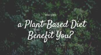 How Does a Plant Based Diet Benefit You?