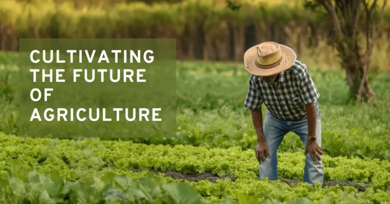 HANS: Cultivating the Future of Agriculture with HANS fertilizers