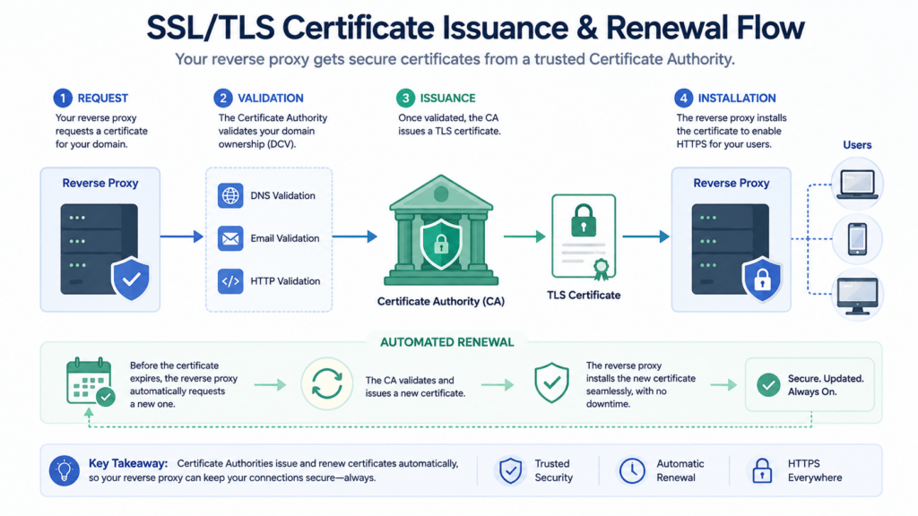 Reverse Proxies & Edge Security Nginx vs. Caddy vs. Pingora (Rust) Explained 4 Diagram of a certificate authority issuing a TLS certificate to a reverse proxy