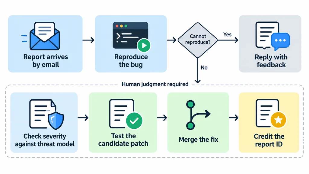 OSS Scanner maintainer workflow: reproduce the bug, check severity, test the patch, merge, credit the report